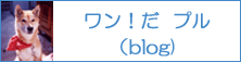 ワン!だ プル